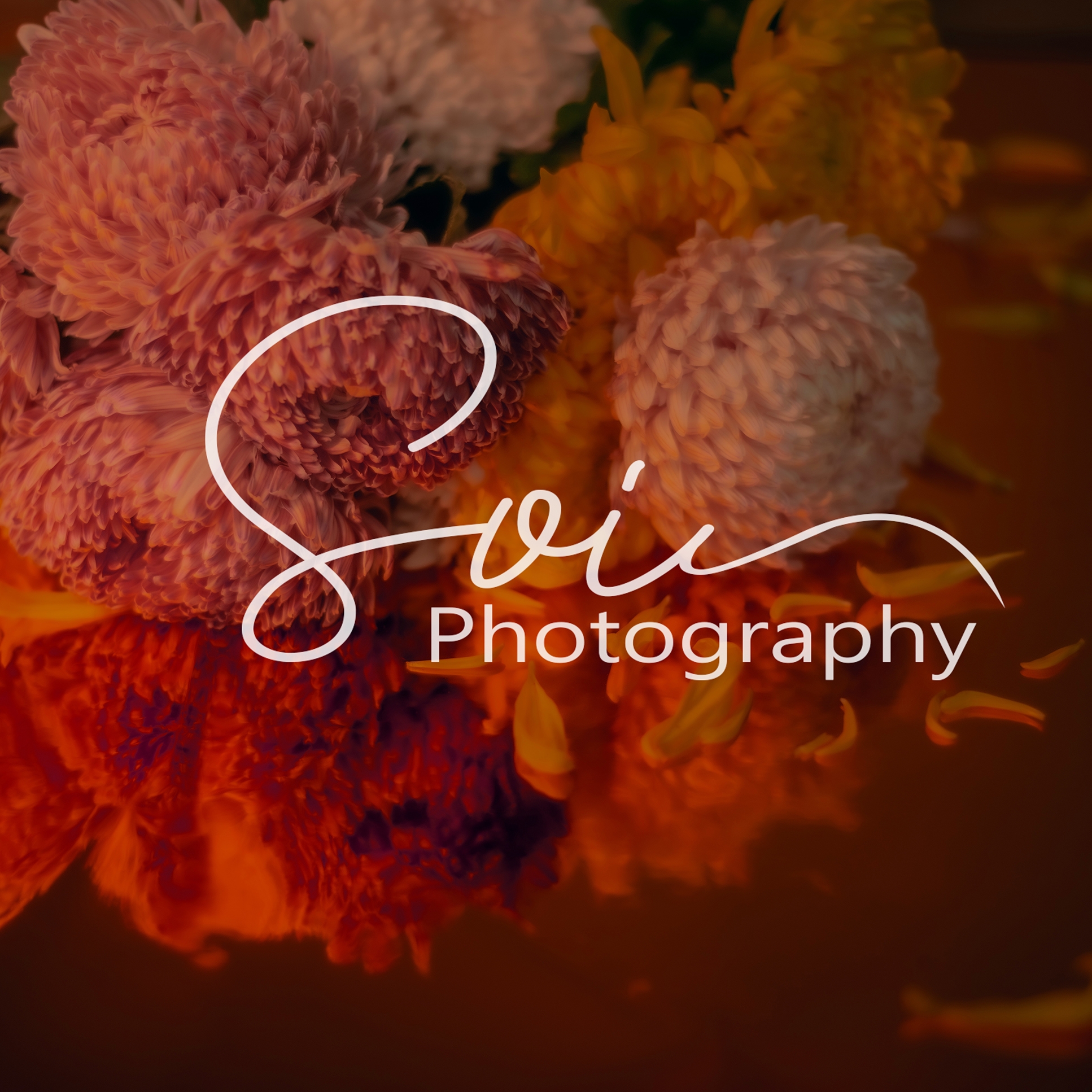 Soi Photography | 自助婚紗攝影師 - 台中攝影工作室
