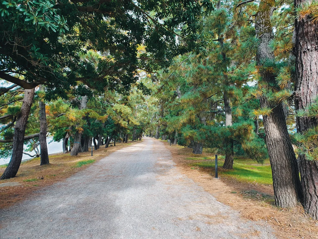 伴伴小姐日本京都遊 ( Kyoto きょうと ) / 旅遊日記 / 日本京都 / 八田伴伴 手作禮服婚物所-台中禮服出租/自助婚紗 伴伴小姐日本京都遊 ( Kyoto きょうと ) / 旅遊日記 / 日本京都 / 美式輕婚紗 / 自助婚紗旅拍 / 海外婚紗攝影 | 八田伴伴 手作禮服婚物所-台中禮服出租/自助婚紗