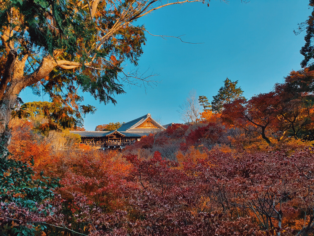 伴伴小姐日本京都遊 ( Kyoto きょうと ) / 旅遊日記 / 日本京都 / 美式輕婚紗 / 自助婚紗旅拍 / 海外婚紗攝影 | 八田伴伴 手作禮服婚物所-台中禮服出租/自助婚紗