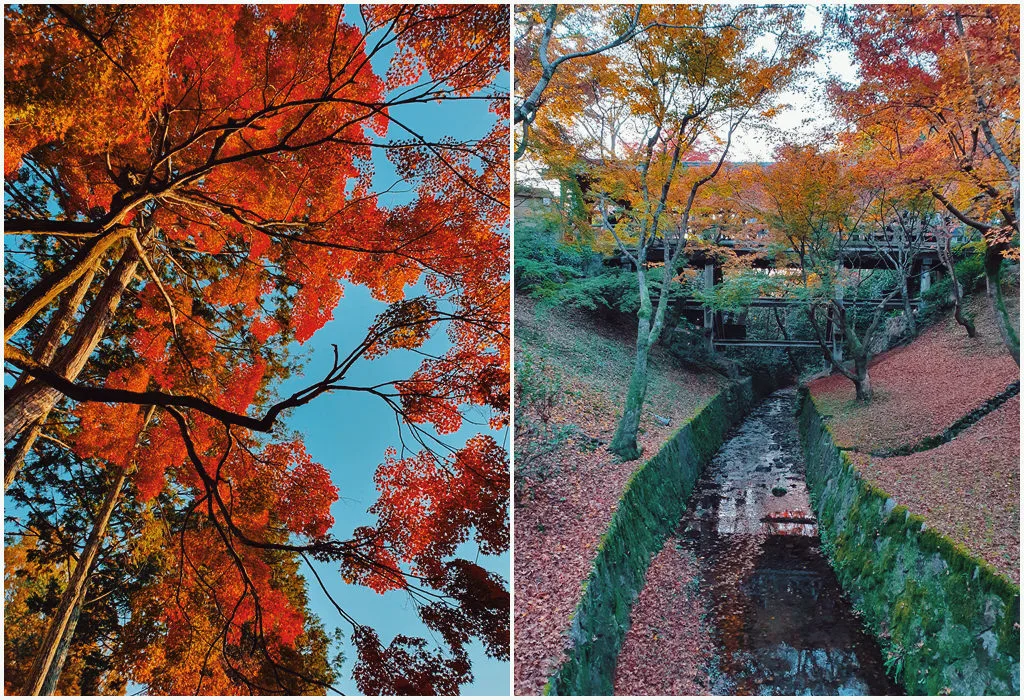 伴伴小姐日本京都遊 ( Kyoto きょうと ) / 旅遊日記 / 日本京都 / 八田伴伴 手作禮服婚物所-台中禮服出租/自助婚紗 伴伴小姐日本京都遊 ( Kyoto きょうと ) / 旅遊日記 / 日本京都 / 美式輕婚紗 / 自助婚紗旅拍 / 海外婚紗攝影 | 八田伴伴 手作禮服婚物所-台中禮服出租/自助婚紗