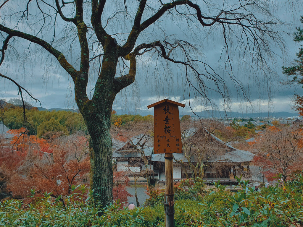 伴伴小姐日本京都遊 ( Kyoto きょうと ) / 旅遊日記 / 日本京都 / 美式輕婚紗 / 自助婚紗旅拍 / 海外婚紗攝影 | 八田伴伴 手作禮服婚物所-台中禮服出租/自助婚紗